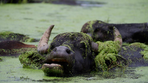 Erzurum Ovası'ndan renkli görüntüler