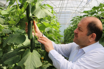 Genç girişimciler tarıma yatırım yapıyor