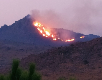 Bodrum’da orman yangını!