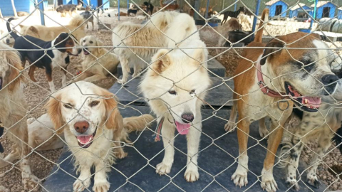 Bu firmadan alınan ürünler yardıma dönüşüyor