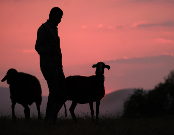 750 yıllık Yörük geleneği “Yünüm Böğet” devam ediyor