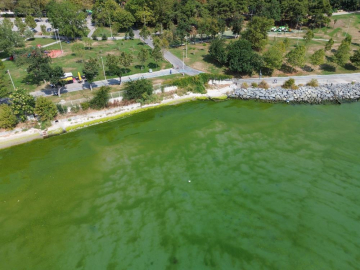 Deniz kirliliğinde son nokta!