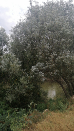 Hızlı tren inşaatında çalışan işçiden acı haber!