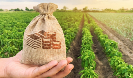 Tarım kredisi karnesinde Bursa öne çıktı