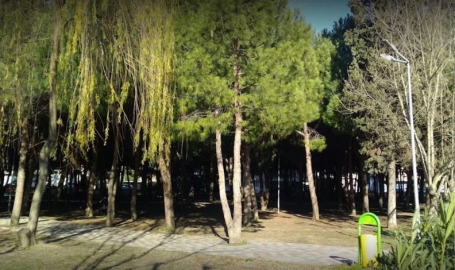 Çamlık Parkı kullanıma kapatılacak