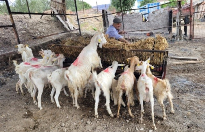 Acılar hafifletilmeye çalışılıyor