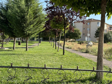 Başıboş atlara çare bekleniyor