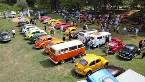 Renkli vosvos buluşması