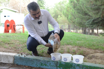 Atık yemekler can dostlar için dönüşüyor