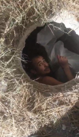 Günlerdir yaşadığı yerde böyle yakalandı