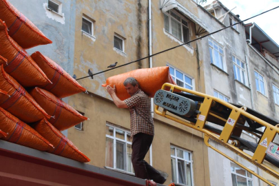 Fındık aldı başını gidiyor