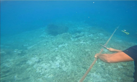 Çin bariyeri kaldırıldı