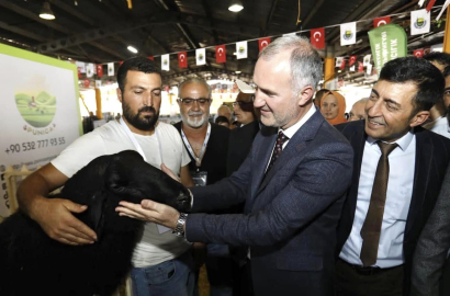 Küçükbaş Hayvancılık Festivali için geri sayım