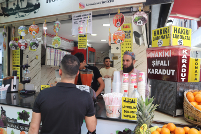 Arıyı kurtarmak için canından oluyordu