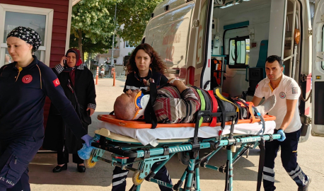 İncir toplamaya çıktı, ağaçtan düştü