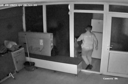 Vicdansız çırak kediyi darp etti