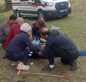 Ayının saldırısına uğradı