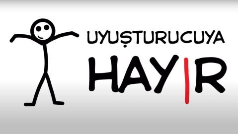 'Damarlarındaki asil kanı kirletme'