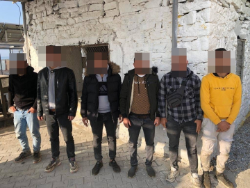 Düzensiz göçmenler, pamuk tarlasında yakalandı