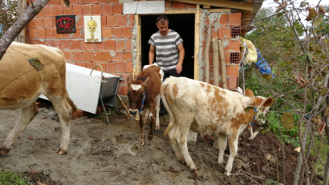 Beslediği danalara devlet başkanlarının adını verdi