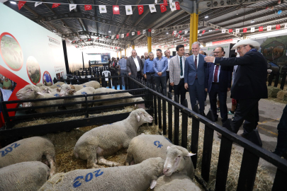 Küçükbaş Hayvancılık Festivali 40 bin ziyaretçi ağırladı