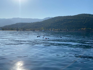 Yüzerek Yunanistan'a geçmeye çalıştılar