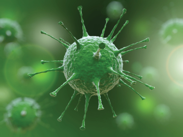 Eris varyantı yayılacak mı?