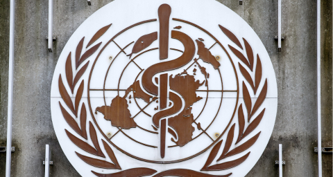 Bir kınama da DSÖ'den!