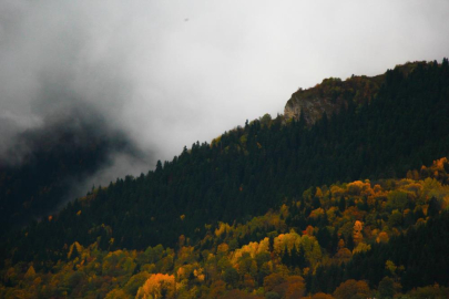 Sonbaharın renkleri Artvin'i sardı