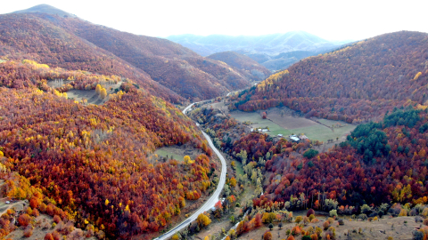 Sonbahar manzarası büyüledi