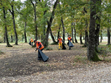 Piknikçilerden geriye kalanlar pes dedirtti