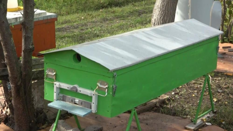 Arı kovanı olarak kullandıkları şaşırttı