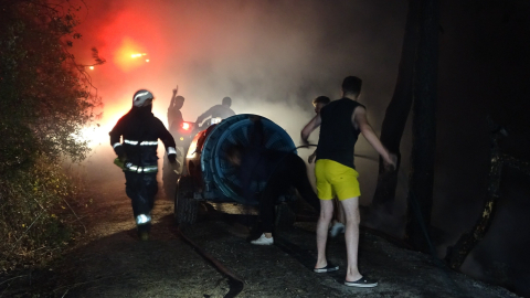 Ormanı yaktı, 'Orman sevdalısıyım' dedi