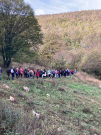 Doğa tutkunları Mysia'da yürüdü