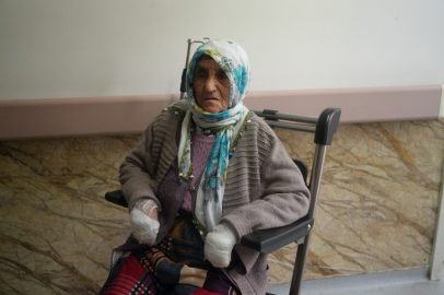 Yaşlı kadına köpekler böyle saldırdı