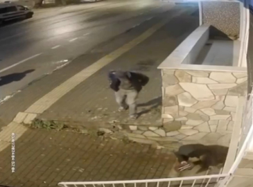 Mazgal hırsızı kameraya yansıdı