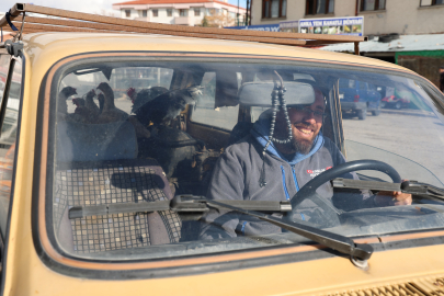 Otomobille gezen tavuklar