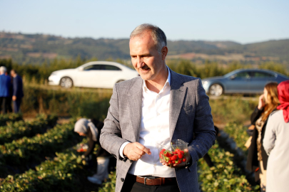 İnegöl tarımda durmak bilmiyor