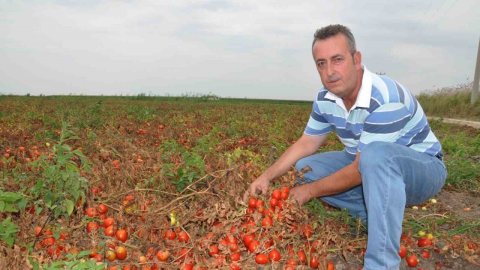 Başkan Erdem: “Salça ihracatının önü açılmalı”