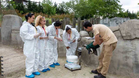 Erasmuslu öğrenciler Bursa Hayvanat Bahçesi’nde