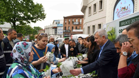 Osmangazi Belediyesi’nden vatandaşa 100 bin fide