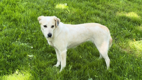 Bursa’da sanat ve medya camiasının acı kaybı