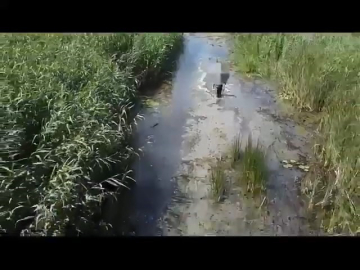 Sülük toplamak için gitti kayboldu