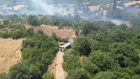 İnegöl’de orman yangını kontrol altına aldı, yangının çıkış nedeni ortaya çıktı