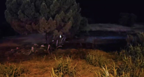 Düğünden atılan havai fişek otluk alanda yangın çıkardı, salon boşaltıldı