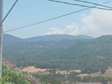 Bursa’da orman yangını: Havadan ve karadan müdahale ediliyor