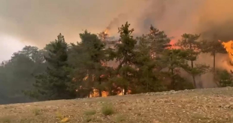 Bursa’da 5 köyün tahliye edildiği yangın büyüyerek sürüyor