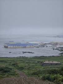 8,8 büyüklüğündeki deprem Rusya’da tsunamiye neden oldu