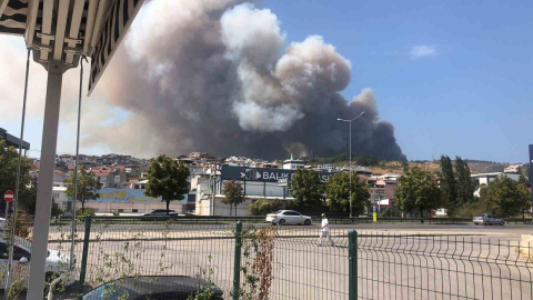 Bursa’da orman yangını