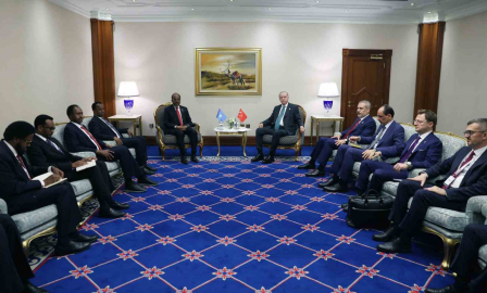 Cumhurbaşkanı Erdoğan, Somali Cumhurbaşkanı Şeyh Mahmud ile görüştü